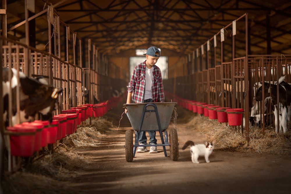 Photograph by Крикова Мария