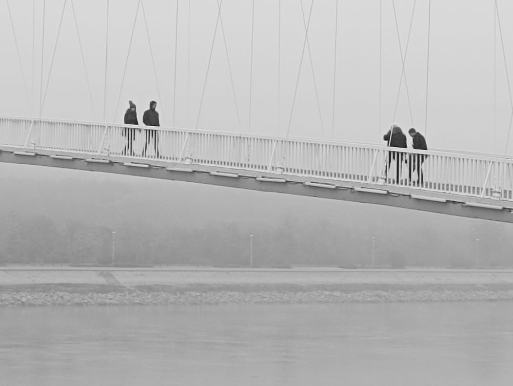 Meeting of the bridge