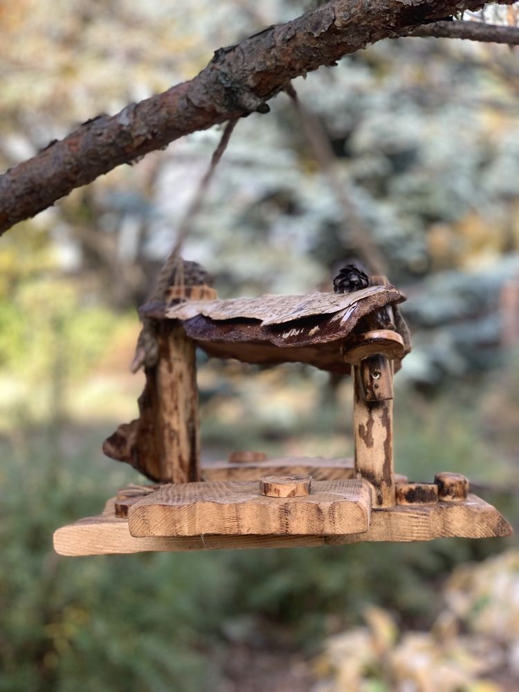 Фотография автора Виктория Ляпина