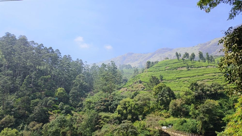 Photograph by Diwakaran D