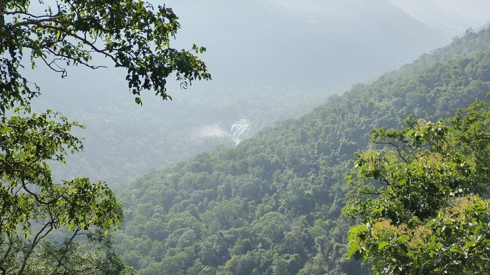 Photograph by Diwakaran D