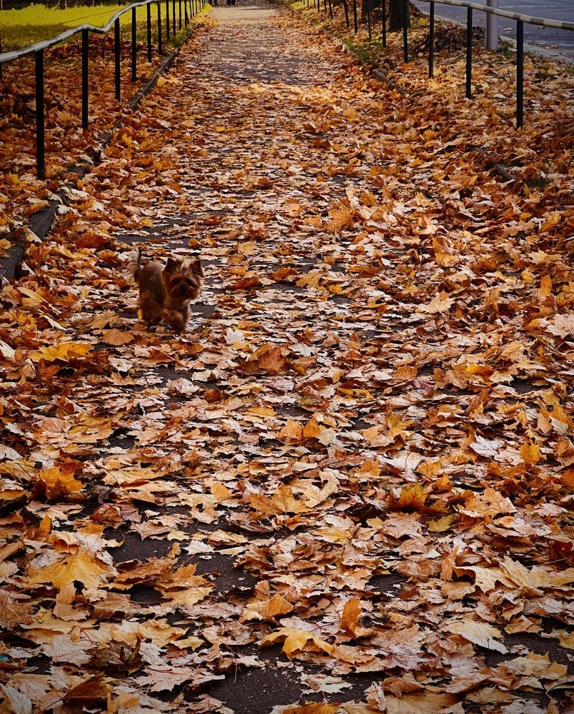 Photograph by Наумова Татьяна