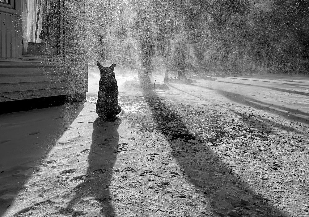 Photograph by Алексей Окунеев