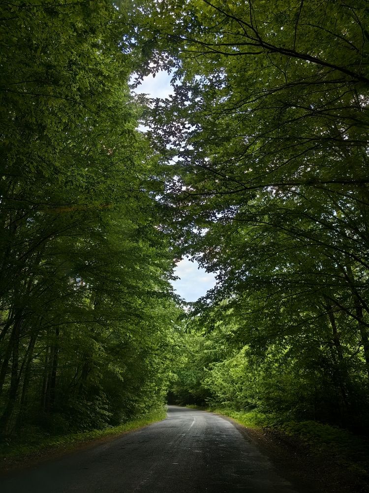 Фотография автора Ирина Петрукович