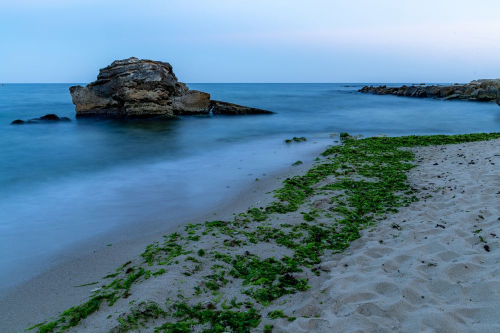 Photograph by Georgi Ivanov