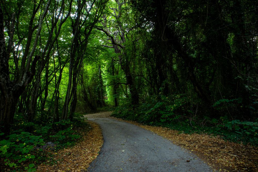 Photograph by Georgi Ivanov