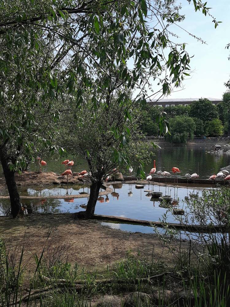 Photograph by Людмила Щепилова