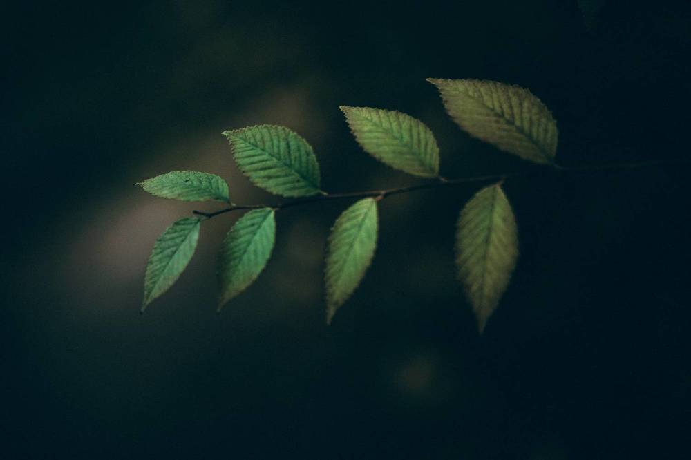 Фотография автора Елена Чиликина