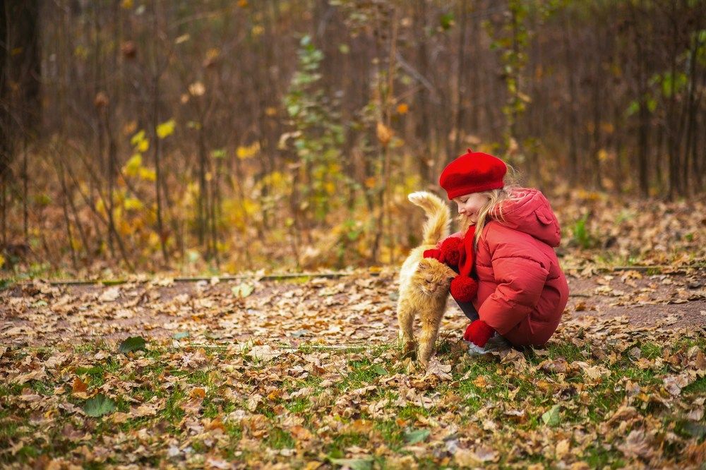 Photograph by Анастасия Барышева