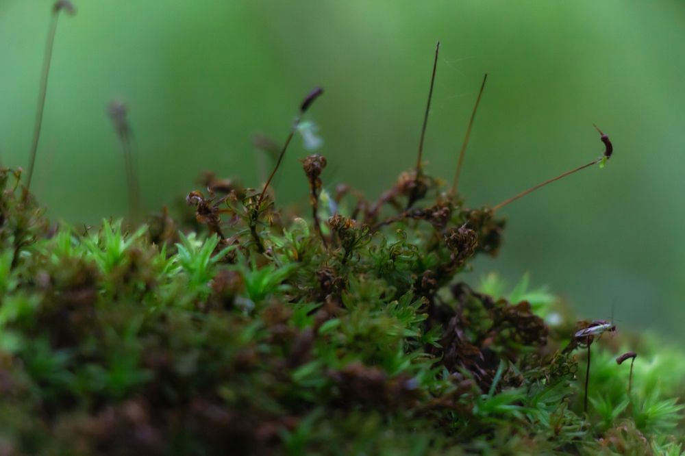 Photograph by Елена Барышева