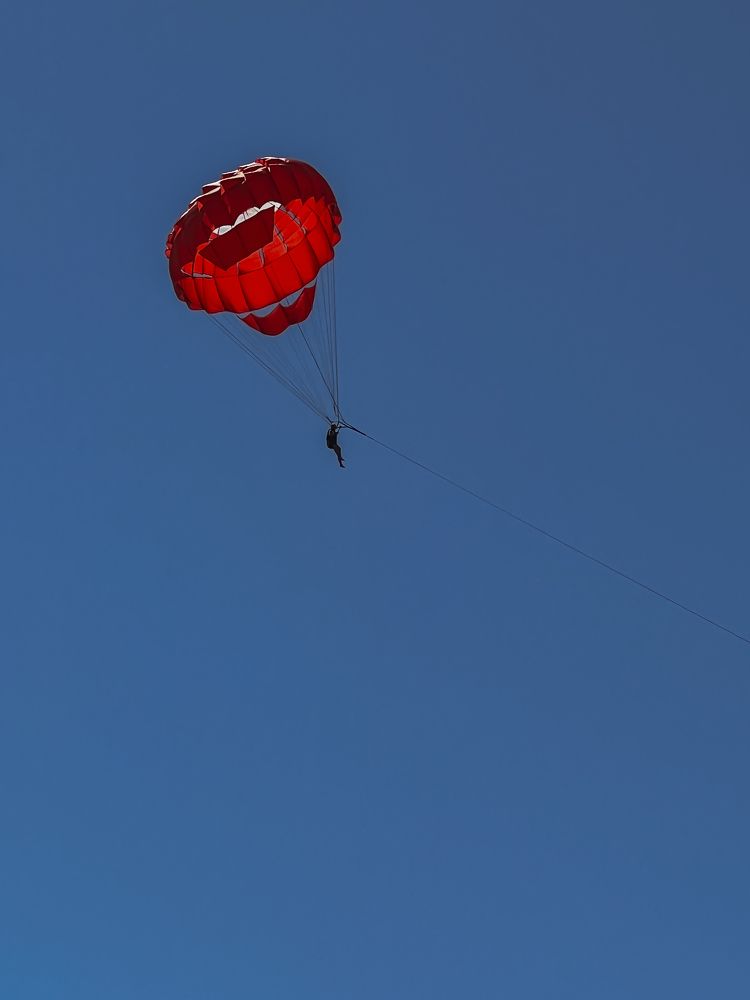 Photograph by Anya Lo