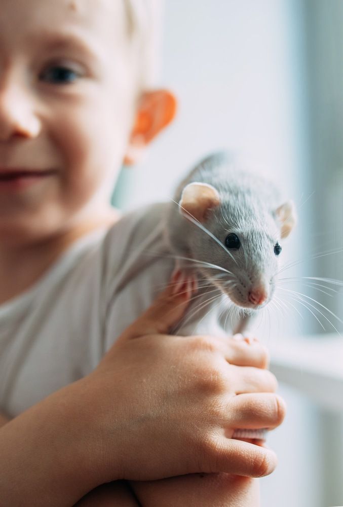 Photograph by Анастасия Барышева