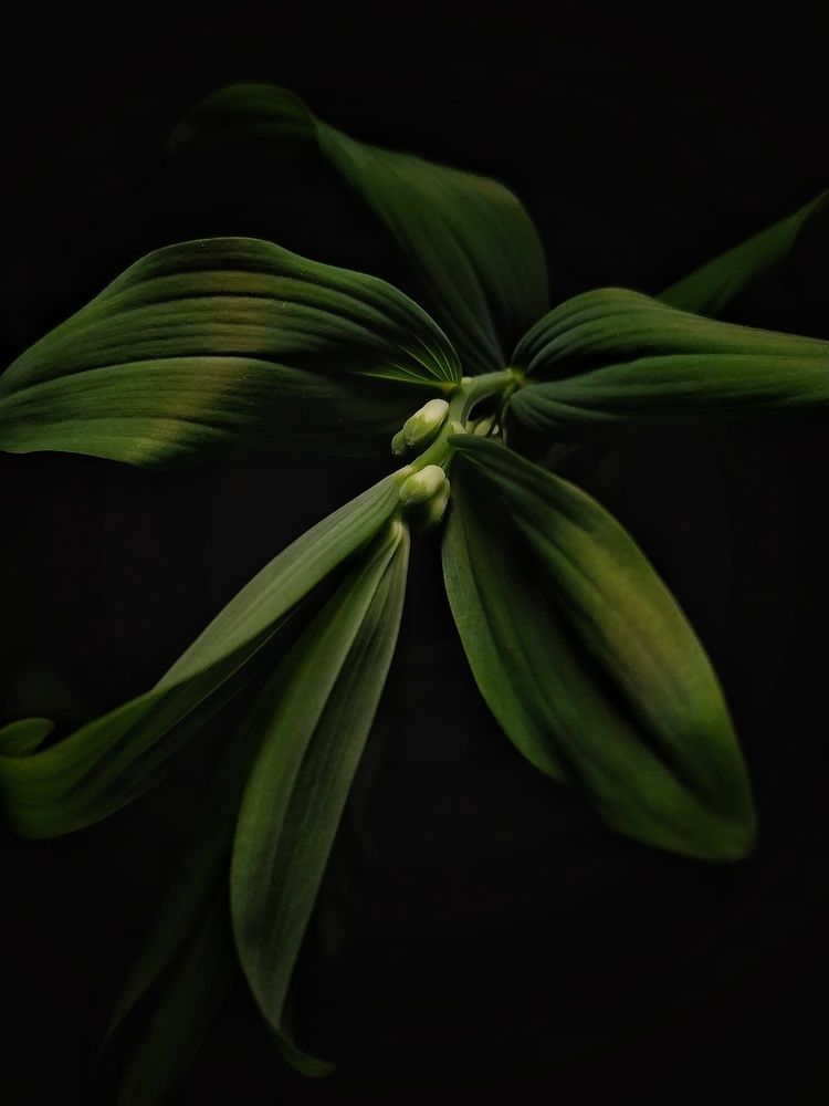 Photograph by Alexander Svetlov