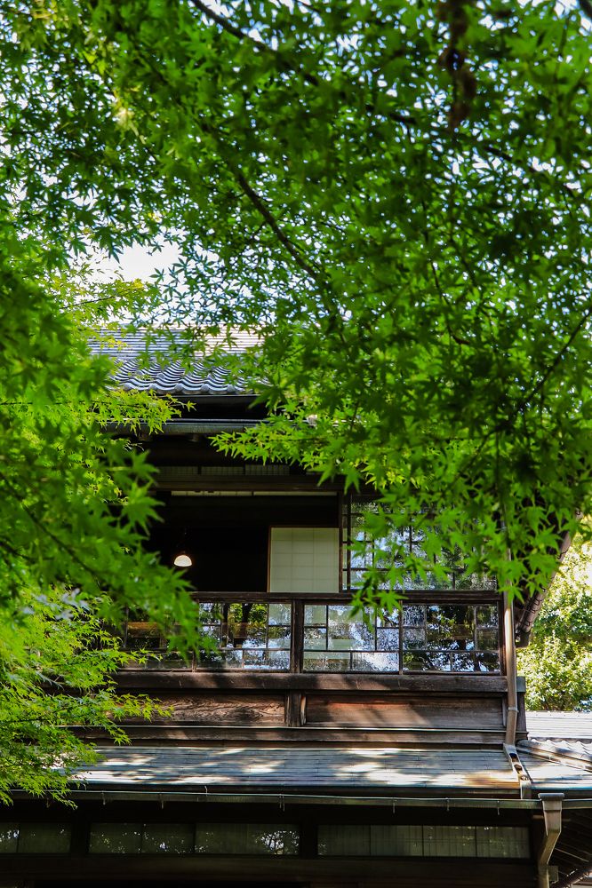 Photograph by Валерия Лунина