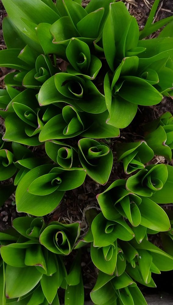 Photograph by Alexander Svetlov