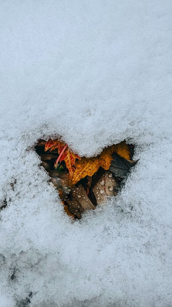 Photograph by  Ирина