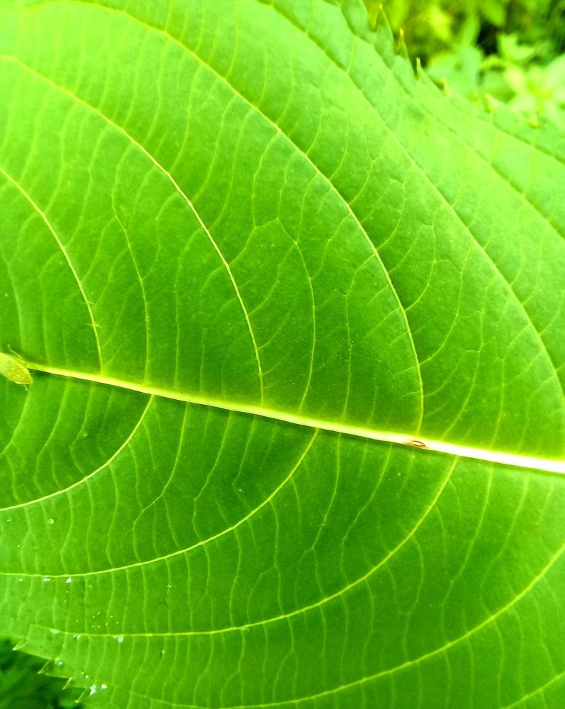 Photograph by Ольга Юрченко