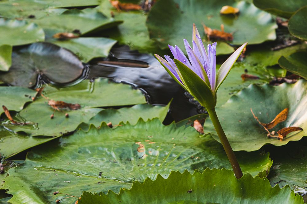 Photograph by Андрей Серый