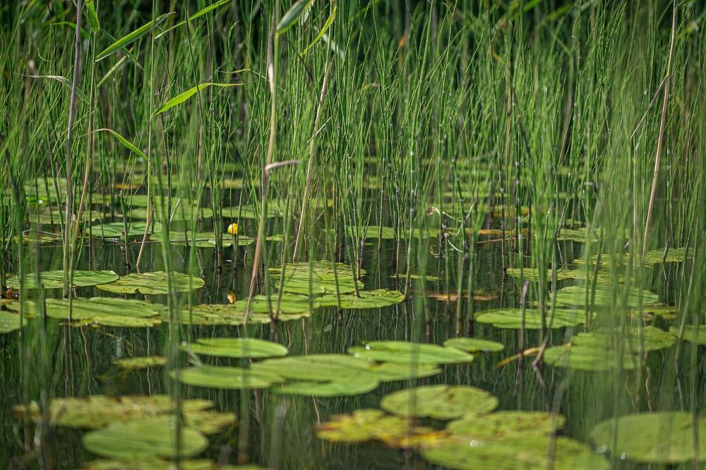 Photograph by Очева Наталья Александровна