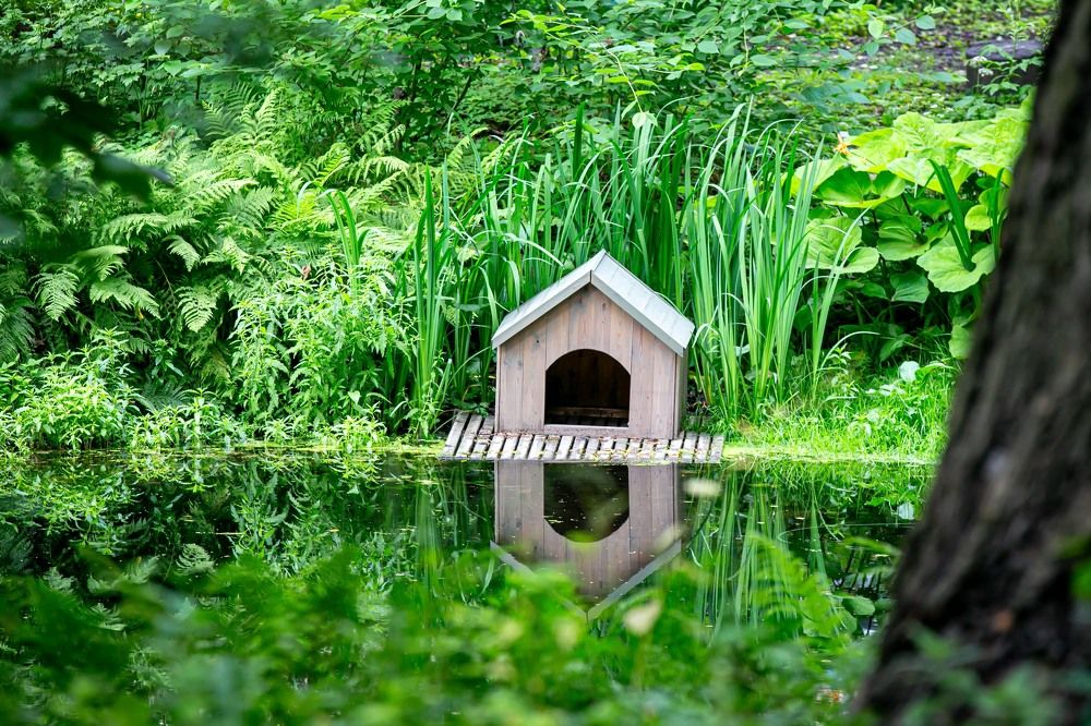 Photograph by Очева Наталья Александровна