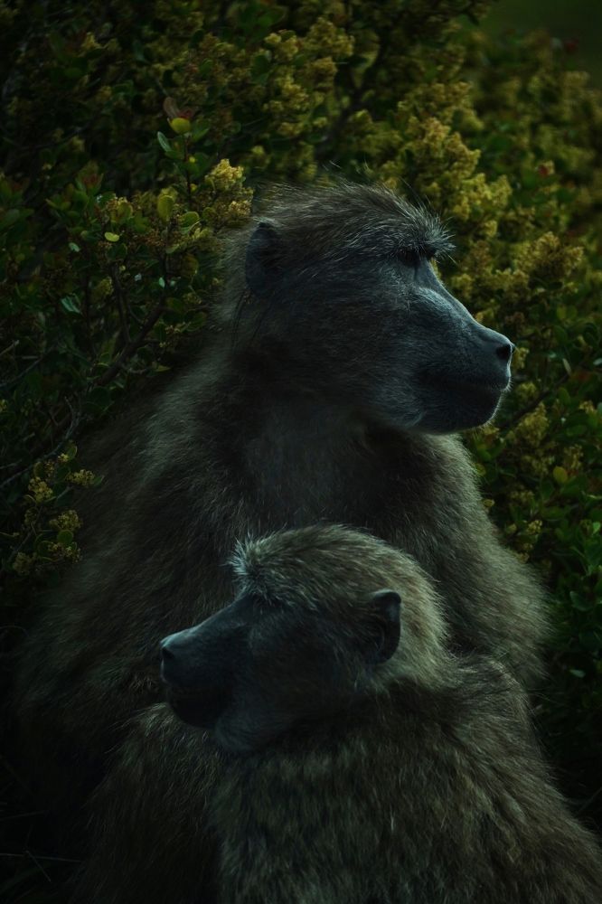 Photograph by Грибова Наталья