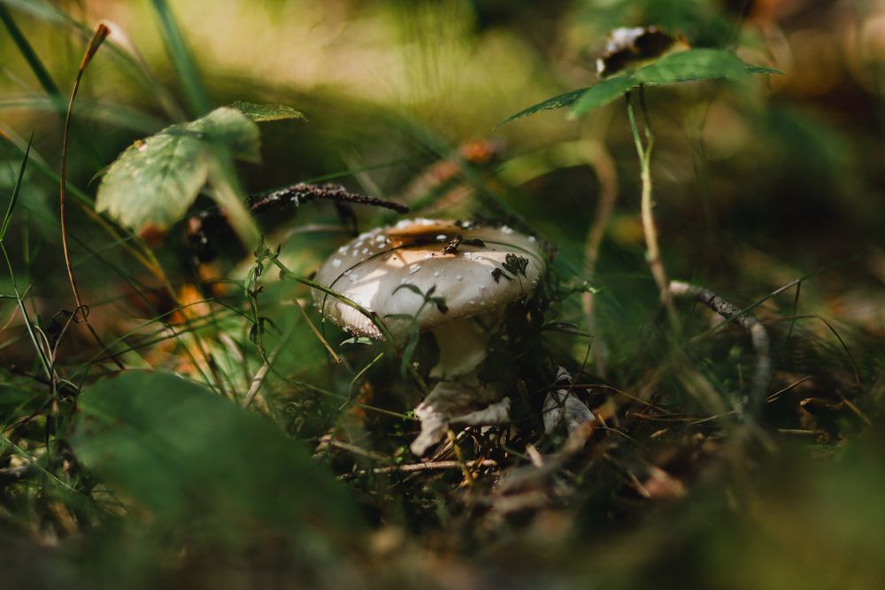 Photograph by Хельга Кольцова