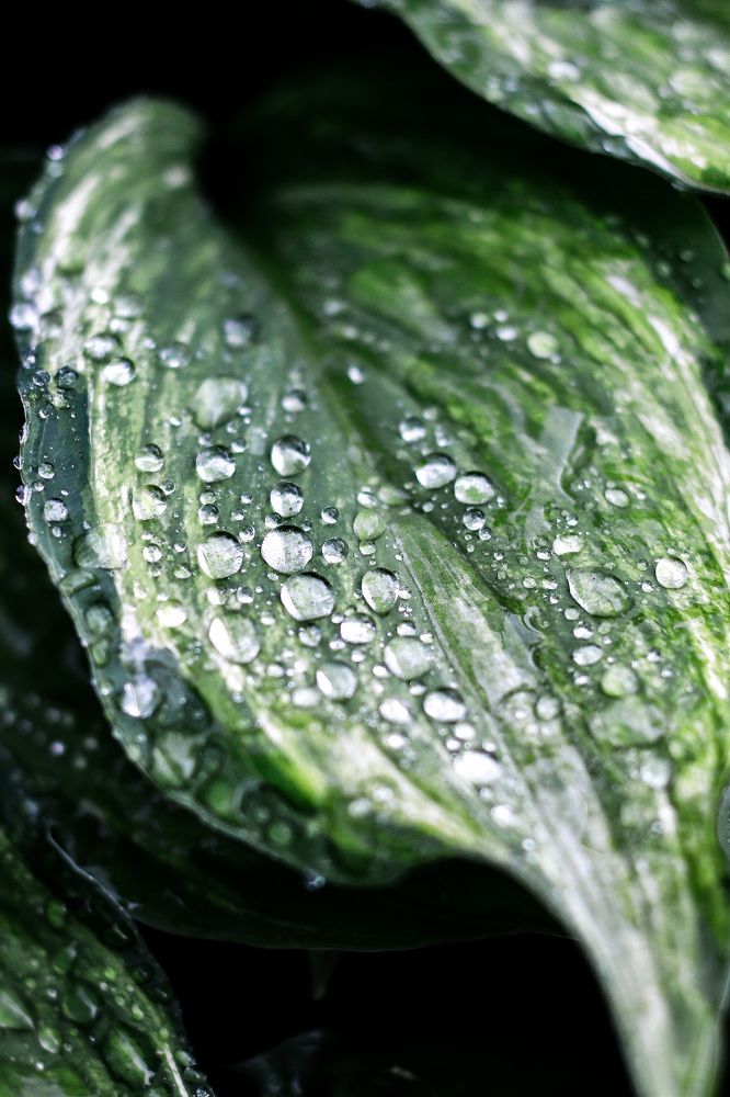 Photograph by Хельга Кольцова