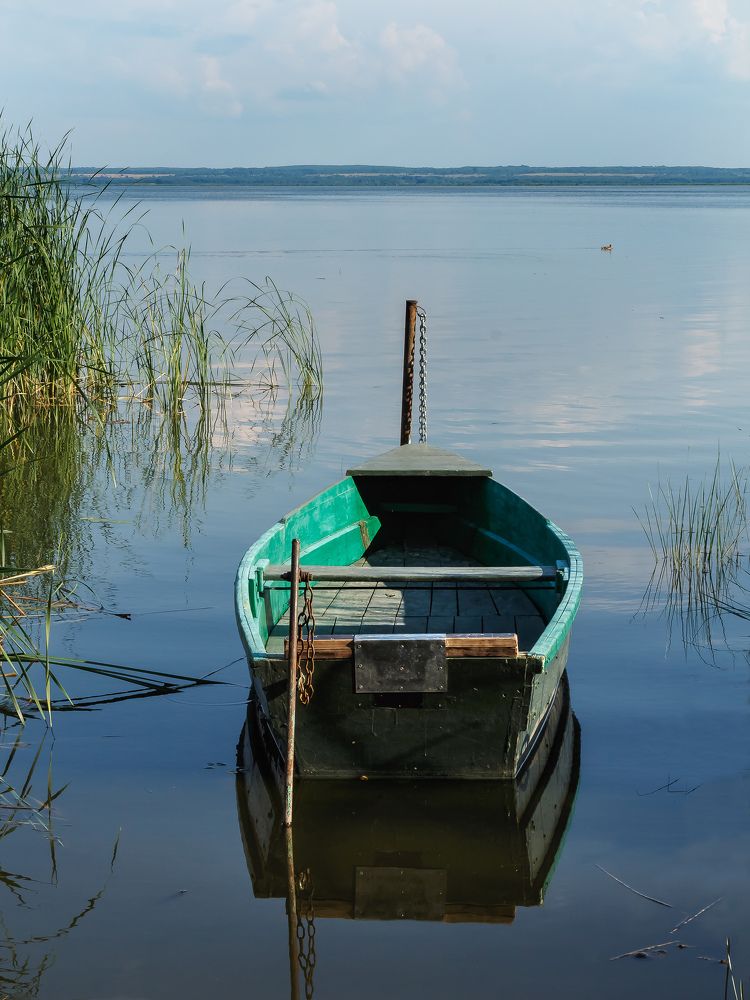 Photograph by Наталья Колеватова