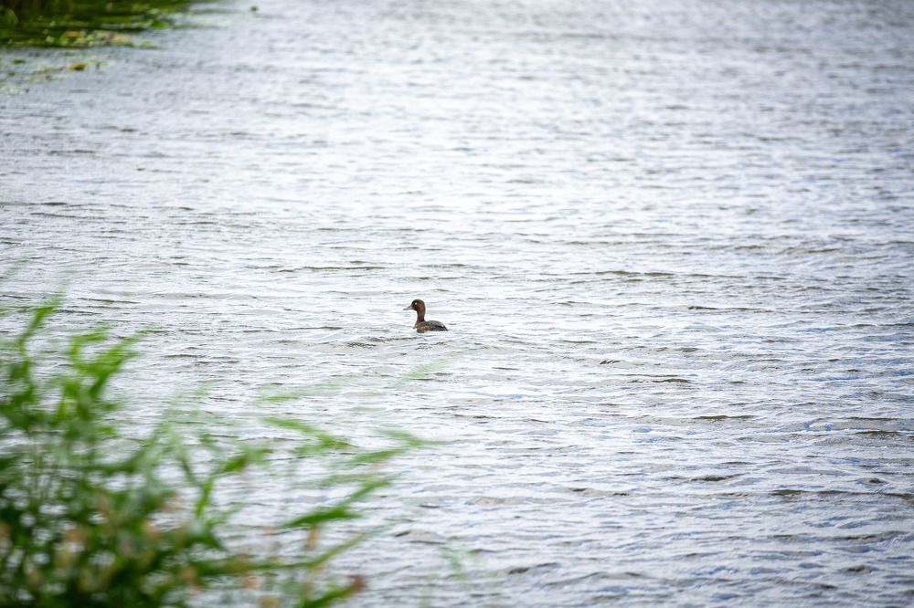 Photograph by Очева Наталья Александровна