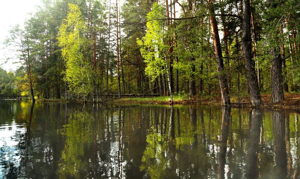 Photograph by Лада Денисова