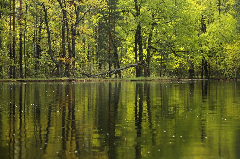 Photograph by Лада Денисова