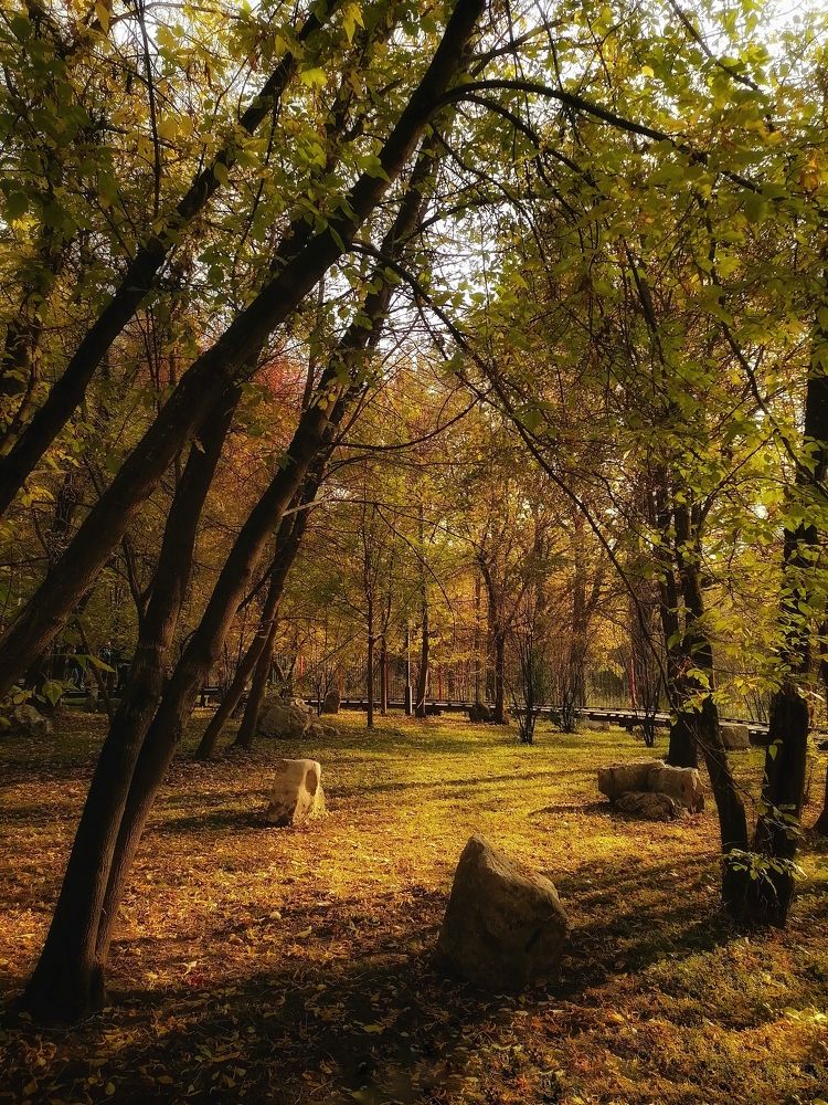 Photograph by Валерия Субботина