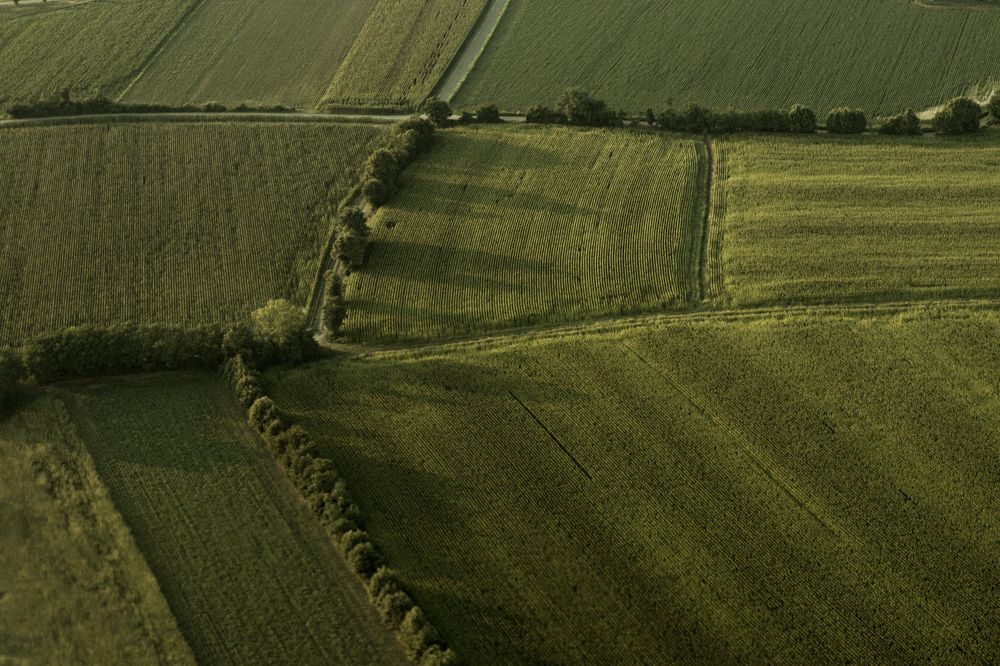 Photograph by Ксения Лаевская