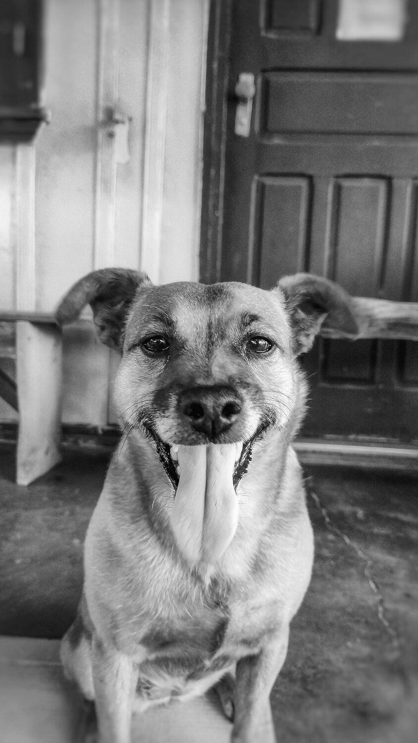 Pitty