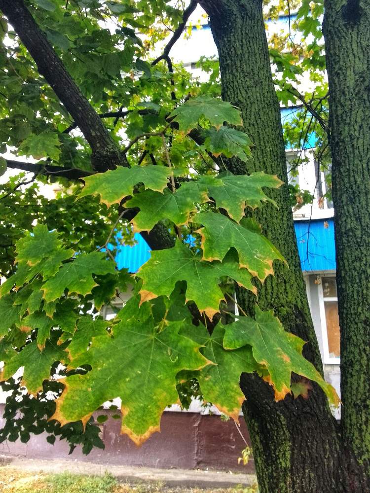 Photograph by Настя Настена