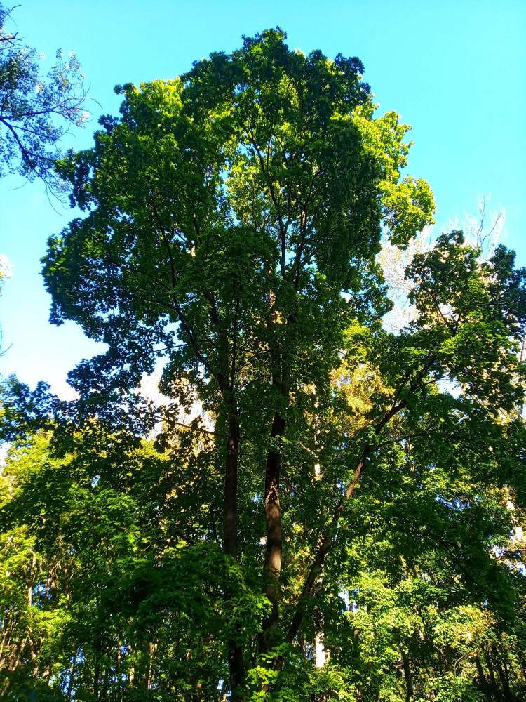 Photograph by Настя Настена