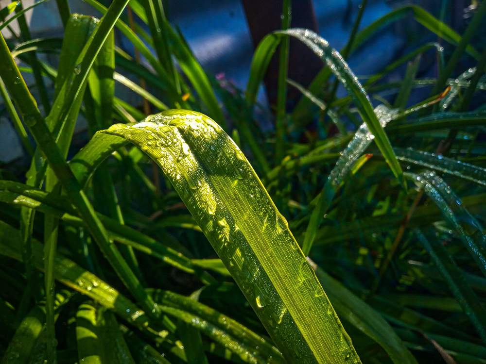 Photograph by Настя Настена