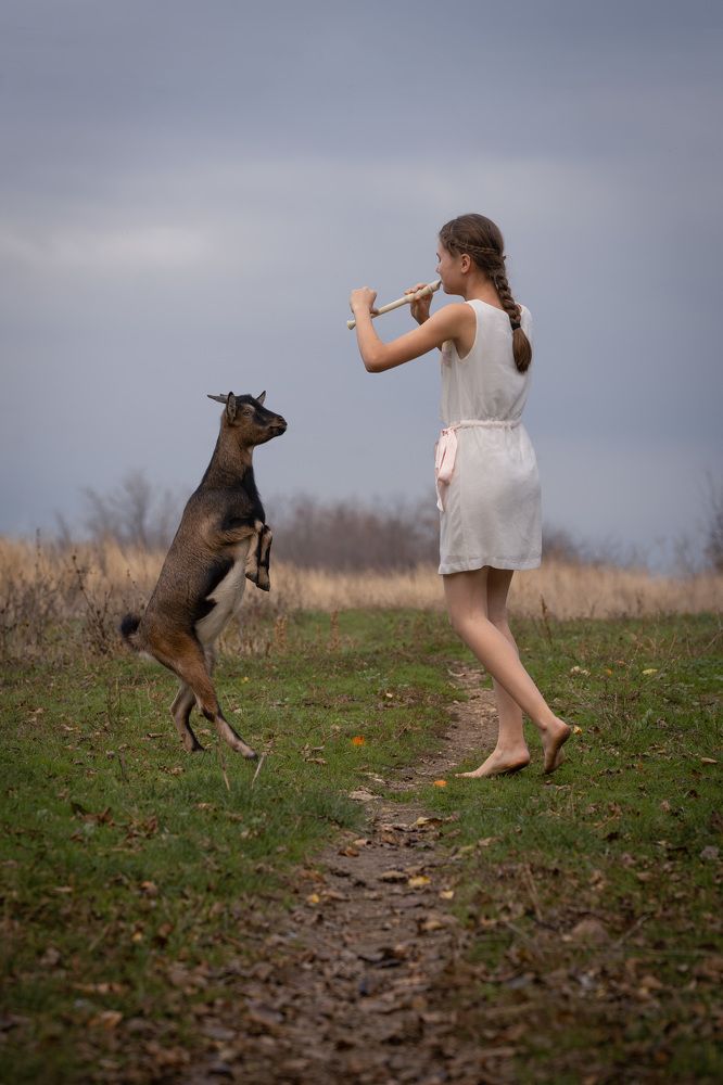 Фотография автора Светлана Зимина