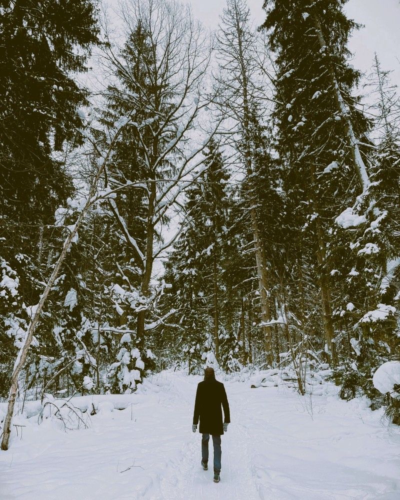 Photograph by Iuliia Akhulkova