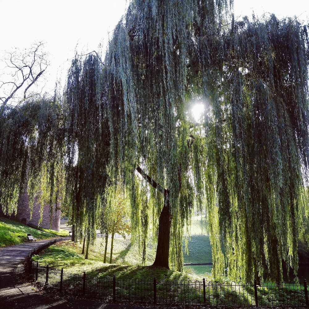 Photograph by Iuliia Akhulkova