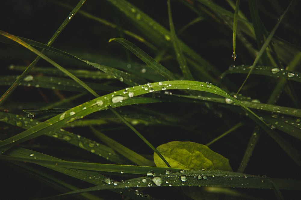 Photograph by Евгений Авдеев