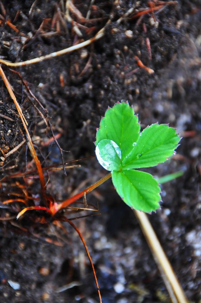 Photograph by Евгений Захаров