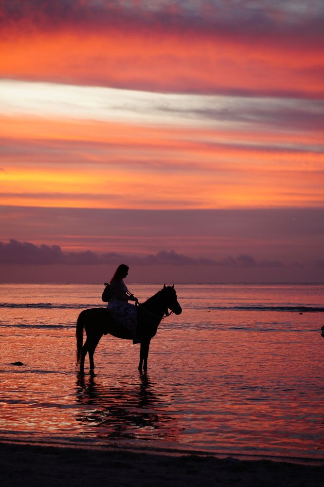 Фотография автора Светлана Зимина