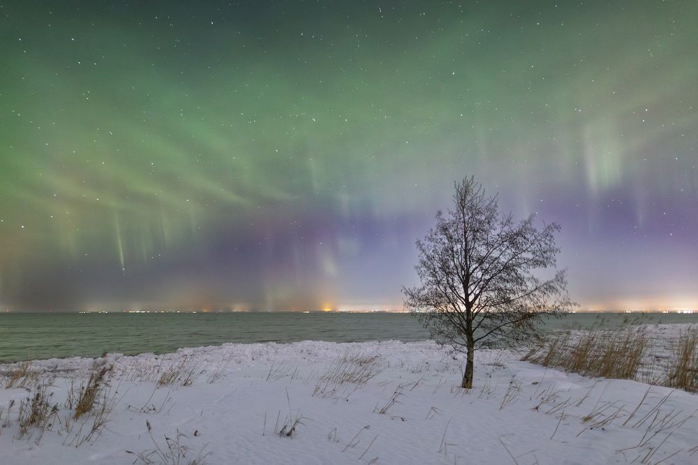 Photograph by Дмитрий Макинский