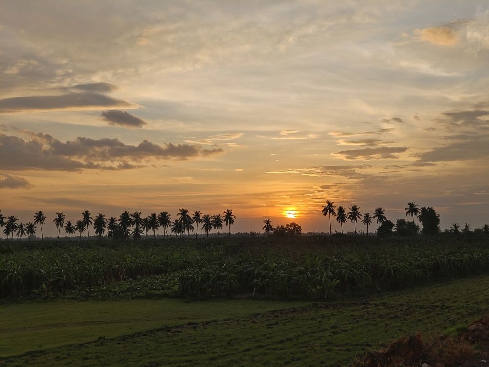 Photograph by Aswin Vijay