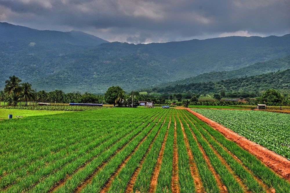 Photograph by Aswin Vijay