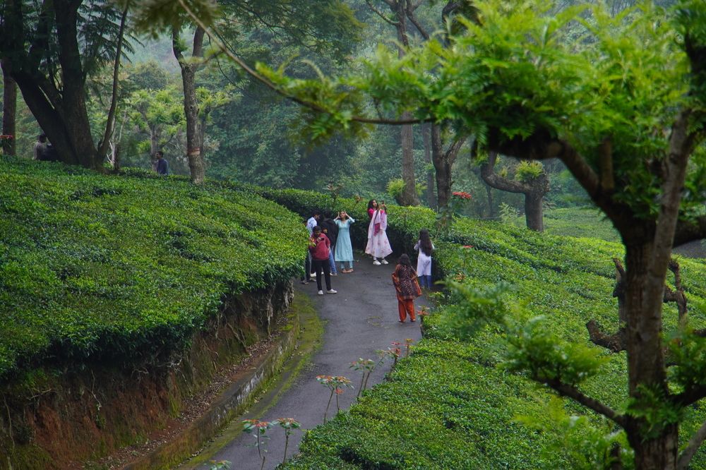 Photograph by Aswin Vijay