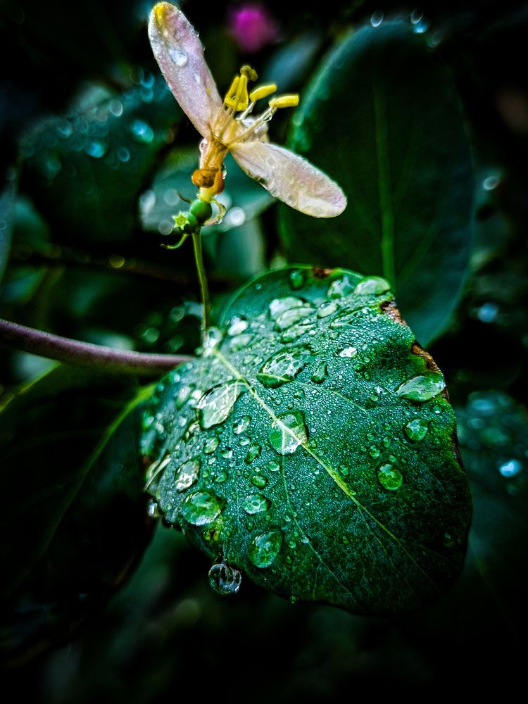 Photograph by Владимир Сушкин