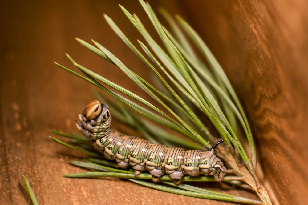 Photograph by Ekaterina Fadeeva