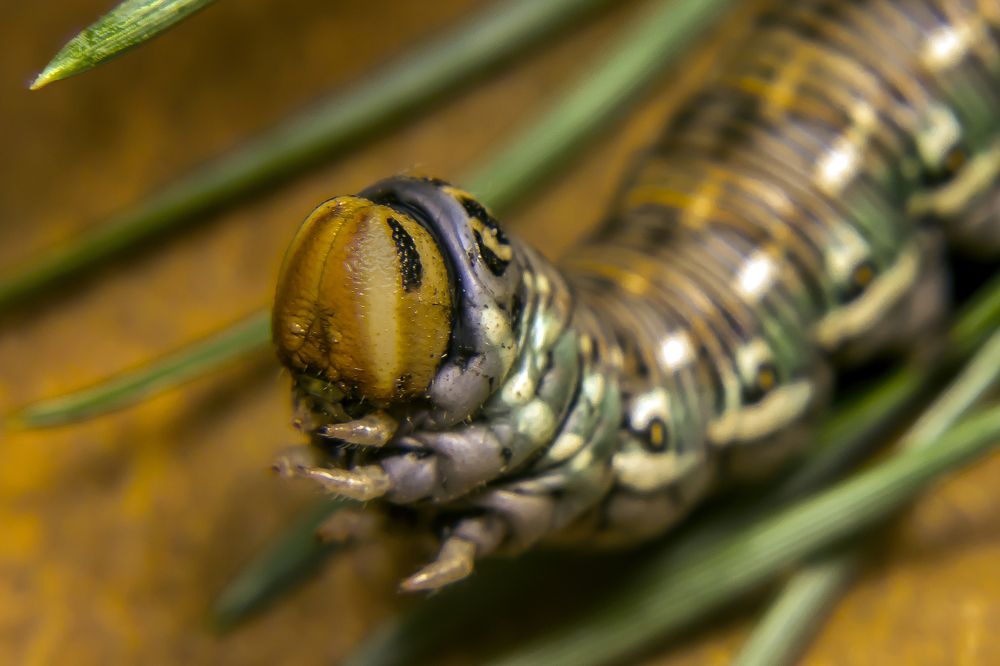 Photograph by Ekaterina Fadeeva